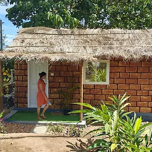  Villa Couples